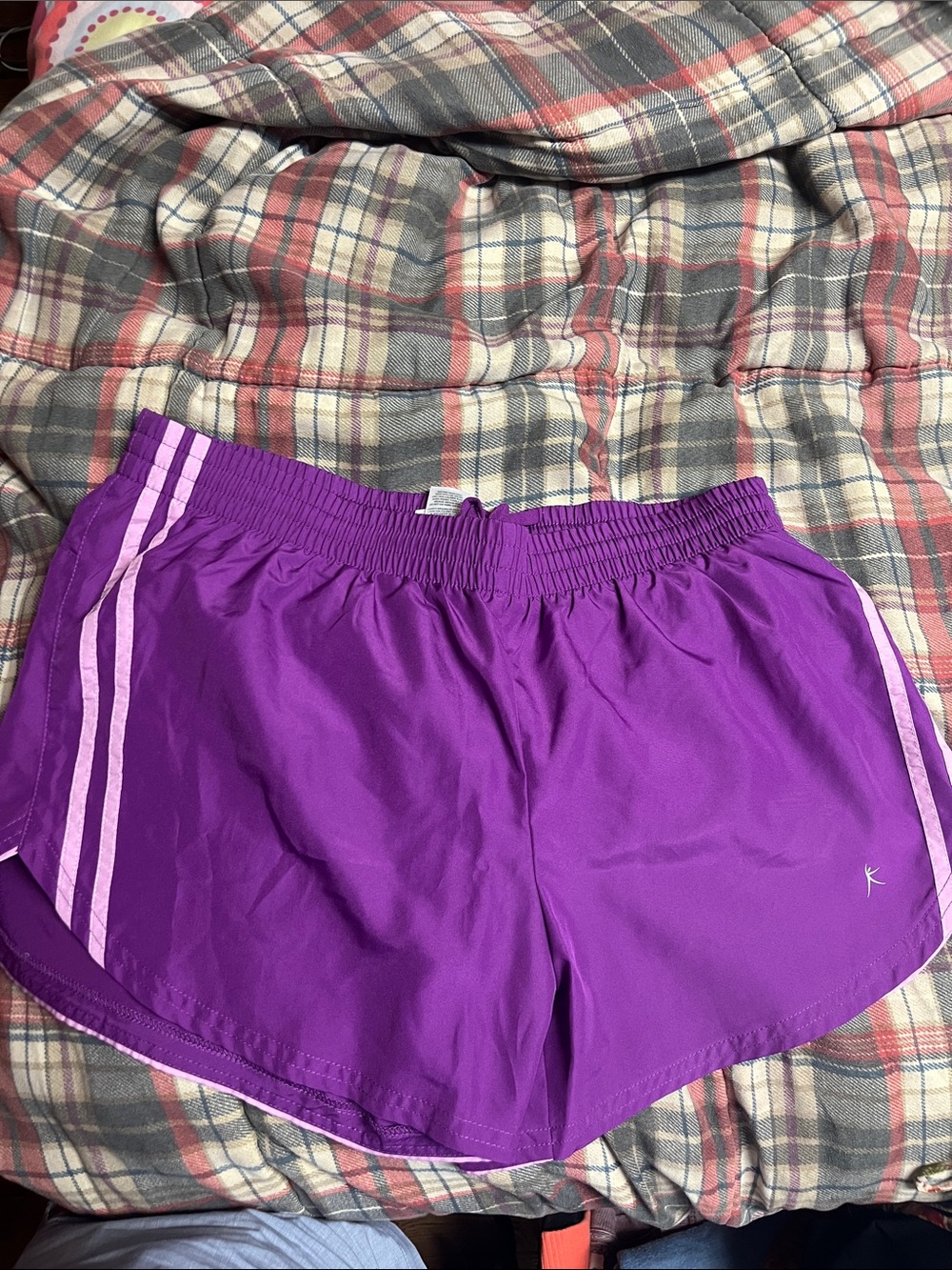Danskin Now Purple Athletic Shorts with Light Pink Stripes